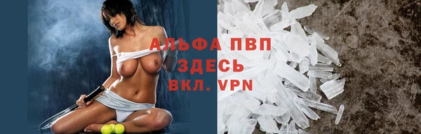 PSILOCYBIN Иннополис
