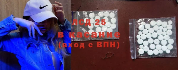 PSILOCYBIN Иннополис