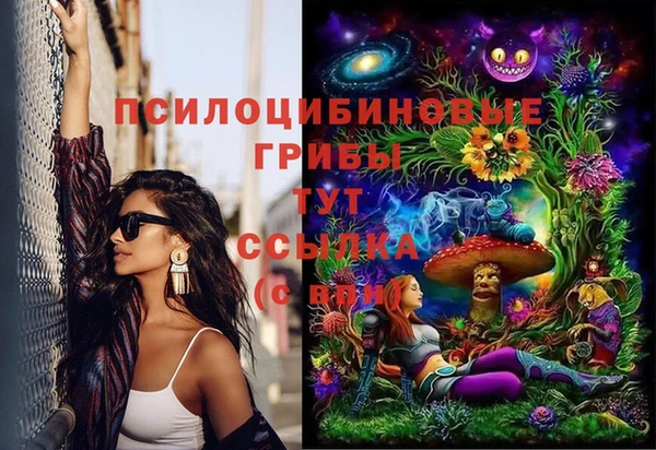 PSILOCYBIN Иннополис