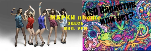 PSILOCYBIN Иннополис
