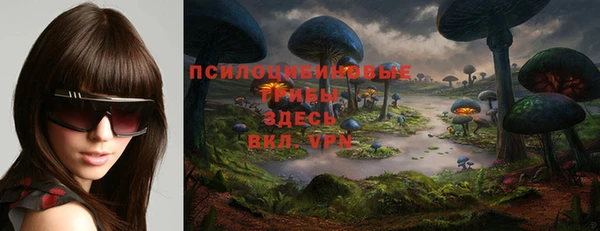 мдма Инта