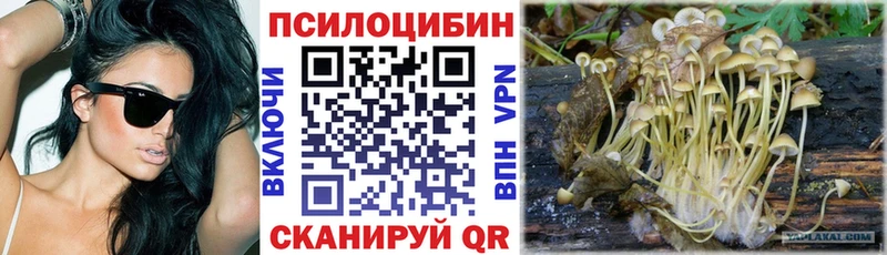 Галлюциногенные грибы Magic Shrooms Кингисепп