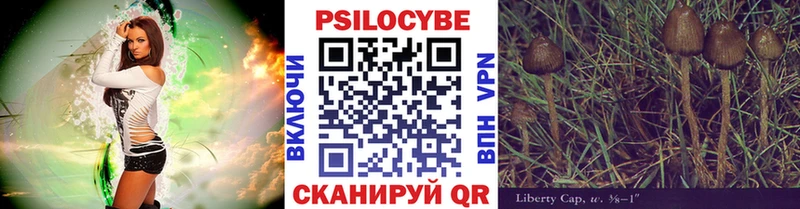 Купить закладки  Кингисепп  Псилоцибиновые грибы мицелий 
